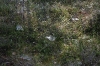 IMG_2779_copy