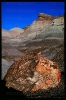 PetrifiedForest_7